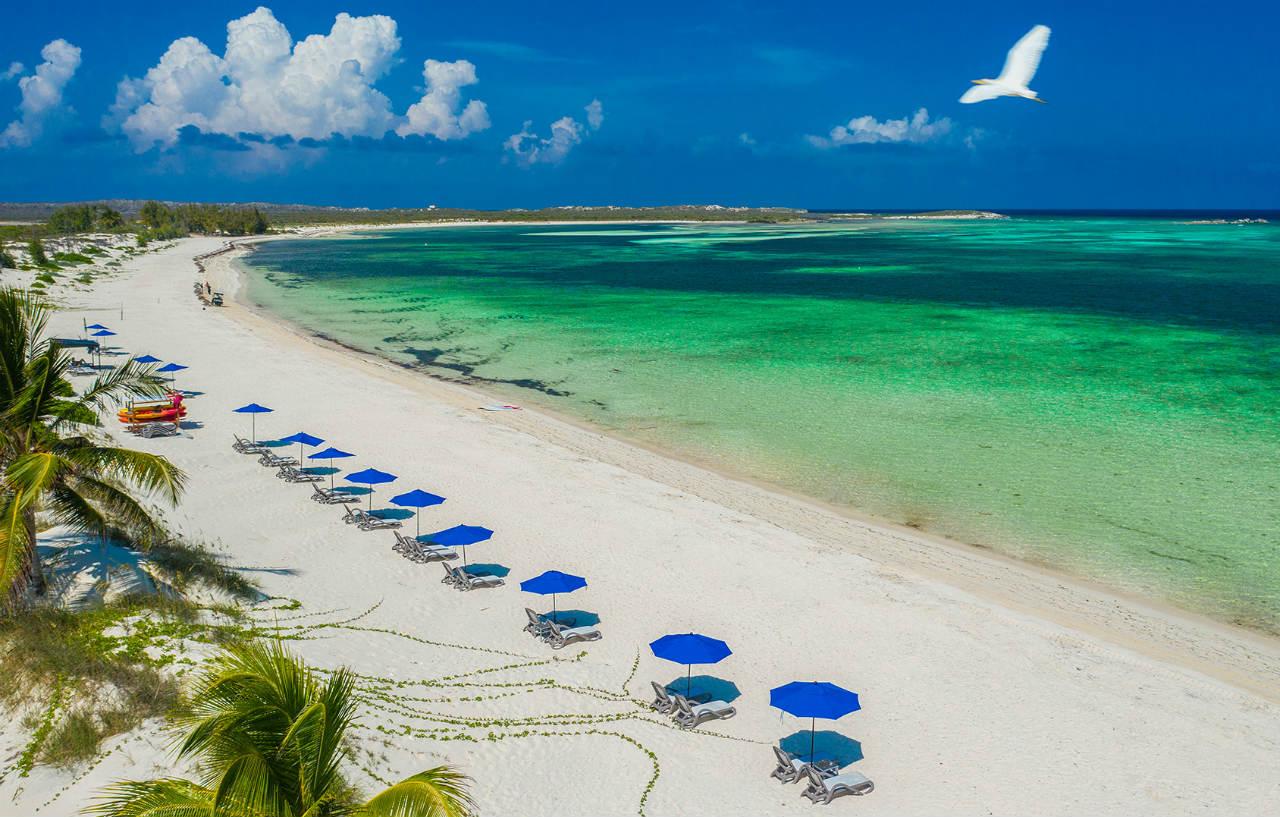Salterra, A Luxury Collection Resort & Spa, Turks & Caicos  Νότιο Κέικος Εξωτερικό φωτογραφία